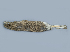  ( - IBUNAM_CNMA_40189)  @12 [ ] Unspecified (default): All Rights Reserved  Unspecified Unspecified