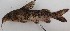  ( - B029_Kafue)  @11 [ ] Unspecified (default): All Rights Reserved  Unspecified Unspecified
