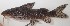  ( - F096_Kafue)  @11 [ ] Unspecified (default): All Rights Reserved  Unspecified Unspecified