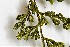  ( - AVM4)  @11 [ ] CreativeCommons-Atribution Non-commercial Share -Alike (2019) Rafael F. del Castillo Instituto Politécnico Nacional