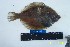  ( - YPK218)  @11 [ ] Unspecified (default): All Rights Reserved  Unspecified Unspecified