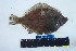  ( - YPK220)  @11 [ ] Unspecified (default): All Rights Reserved  Unspecified Unspecified