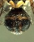  ( - BPC4256)  @13 [ ] Unspecified (default): All Rights Reserved  Bio-protection Research Centre Unspecified