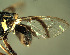  ( - BPC4256)  @13 [ ] Unspecified (default): All Rights Reserved  Bio-protection Research Centre Unspecified