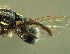  ( - BPC4257)  @13 [ ] Unspecified (default): All Rights Reserved  Bio-protection Research Centre Unspecified