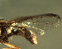  ( - BPC4273)  @11 [ ] Unspecified (default): All Rights Reserved  Bio-protection Research Centre Unspecified