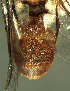  ( - BPC4304)  @12 [ ] Unspecified (default): All Rights Reserved  Bio-protection Research Centre Unspecified