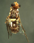 ( - BPC4304)  @13 [ ] Unspecified (default): All Rights Reserved  Bio-protection Research Centre Unspecified