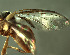  ( - BPC4304)  @12 [ ] Unspecified (default): All Rights Reserved  Bio-protection Research Centre Unspecified