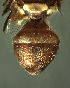  ( - BPC4306)  @12 [ ] Unspecified (default): All Rights Reserved  Bio-protection Research Centre Unspecified