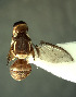  ( - BPC4306)  @13 [ ] Unspecified (default): All Rights Reserved  Bio-protection Research Centre Unspecified