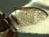  ( - BPC4306)  @12 [ ] Unspecified (default): All Rights Reserved  Bio-protection Research Centre Unspecified