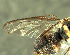  ( - BPC4317)  @11 [ ] Unspecified (default): All Rights Reserved  Bio-protection Research Centre Unspecified