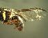  ( - BPC4318)  @11 [ ] Unspecified (default): All Rights Reserved  Bio-protection Research Centre Unspecified