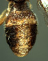  ( - BPC4329)  @12 [ ] Unspecified (default): All Rights Reserved  Bio-protection Research Centre Unspecified
