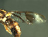  ( - BPC4329)  @12 [ ] Unspecified (default): All Rights Reserved  Bio-protection Research Centre Unspecified