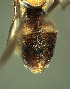  ( - BPC4330)  @12 [ ] Unspecified (default): All Rights Reserved  Bio-protection Research Centre Unspecified