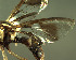  ( - BPC4330)  @12 [ ] Unspecified (default): All Rights Reserved  Bio-protection Research Centre Unspecified