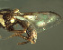  ( - BPC4338)  @12 [ ] Unspecified (default): All Rights Reserved  Bio-protection Research Centre Unspecified