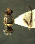  ( - BPC4350)  @11 [ ] Unspecified (default): All Rights Reserved  Bio-protection Research Centre Unspecified