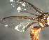  ( - BPC4354)  @12 [ ] Unspecified (default): All Rights Reserved  Bio-protection Research Centre Unspecified
