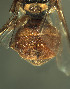  ( - BPC4355)  @12 [ ] Unspecified (default): All Rights Reserved  Bio-protection Research Centre Unspecified
