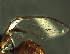  ( - BPC4355)  @12 [ ] Unspecified (default): All Rights Reserved  Bio-protection Research Centre Unspecified