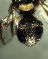  ( - BPC4367)  @13 [ ] Unspecified (default): All Rights Reserved  Bio-protection Research Centre Unspecified