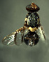 (Bactrocera frauenfeldi - BPC4367)  @15 [ ] Unspecified (default): All Rights Reserved  Bio-protection Research Centre Unspecified