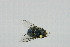  ( - QCAZI_114991)  @12 [ ] CreativeCommons - Attribution (2014) David A. Donoso & Emilia Moreno PUCE