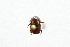  (Onthophagus ACS4435 - QCAZI_121977)  @14 [ ] CreativeCommons - Attribution (2014) David A. Donoso and Emilia Moreno PUCE