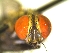  ( - QCAZI_235557)  @11 [ ] Unspecified (default): All Rights Reserved  Unspecified Unspecified