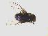  ( - QCAZI_224621)  @11 [ ] Unspecified (default): All Rights Reserved  Unspecified Unspecified