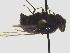  ( - QCAZI_224621)  @11 [ ] Unspecified (default): All Rights Reserved  Unspecified Unspecified
