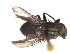  ( - QCAZI_235382)  @11 [ ] Unspecified (default): All Rights Reserved  Unspecified Unspecified