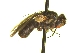  ( - QCAZI_235382)  @11 [ ] Unspecified (default): All Rights Reserved  Unspecified Unspecified