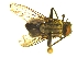  ( - QCAZI_235380)  @11 [ ] Unspecified (default): All Rights Reserved  Unspecified Unspecified
