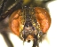  ( - QCAZI_235380)  @11 [ ] Unspecified (default): All Rights Reserved  Unspecified Unspecified