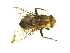  ( - QCAZI_235381)  @11 [ ] Unspecified (default): All Rights Reserved  Unspecified Unspecified