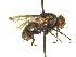  ( - QCAZI_235381)  @11 [ ] Unspecified (default): All Rights Reserved  Unspecified Unspecified