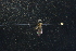  ( - QCAZI_220937)  @11 [ ] Unspecified (default): All Rights Reserved  Unspecified Unspecified