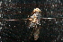  ( - QCAZI_220948)  @12 [ ] Unspecified (default): All Rights Reserved  Unspecified Unspecified