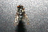  ( - QCAZI_220949)  @12 [ ] Unspecified (default): All Rights Reserved  Unspecified Unspecified