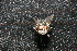  ( - QCAZI_220949)  @12 [ ] Unspecified (default): All Rights Reserved  Unspecified Unspecified