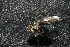  ( - QCAZI_220949)  @12 [ ] Unspecified (default): All Rights Reserved  Unspecified Unspecified