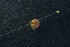  ( - QCAZI_220928)  @11 [ ] Unspecified (default): All Rights Reserved  Unspecified Unspecified