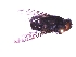  ( - QCAZI_235366)  @12 [ ] Unspecified (default): All Rights Reserved  Unspecified Unspecified