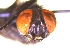  ( - QCAZI_235366)  @12 [ ] Unspecified (default): All Rights Reserved  Unspecified Unspecified