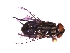  ( - QCAZI_235367)  @12 [ ] Unspecified (default): All Rights Reserved  Unspecified Unspecified
