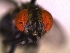  ( - QCAZI_235367)  @12 [ ] Unspecified (default): All Rights Reserved  Unspecified Unspecified